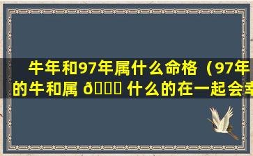 牛年和97年属什么命格（97年的牛和属 🐈 什么的在一起会幸福）